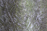 Southern Cross fibreglass roof work